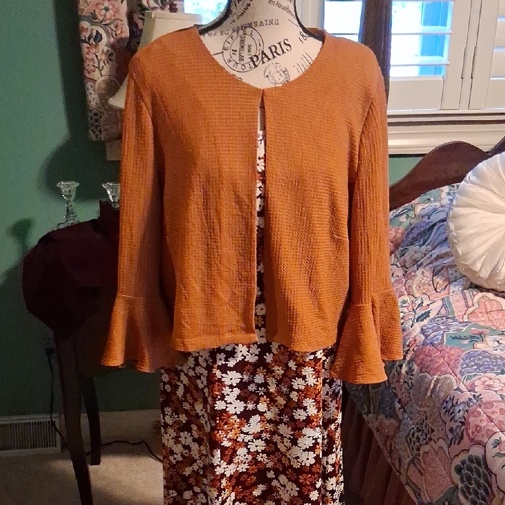 Perceptions Terracotta Knitwear